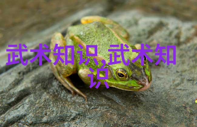 武林中的门派大汇总揭秘江湖中隐世高手的所在