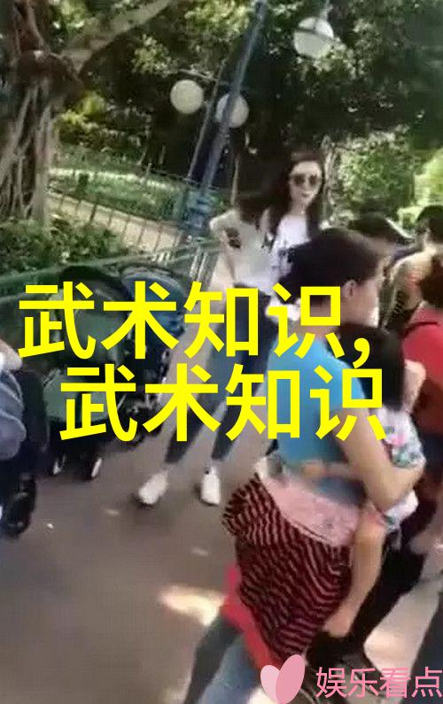 武林秘籍全集揭秘中国古代武功的奥义