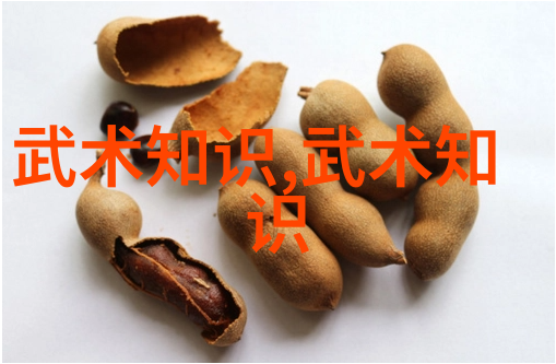 传统武术中的内家外家对比分析