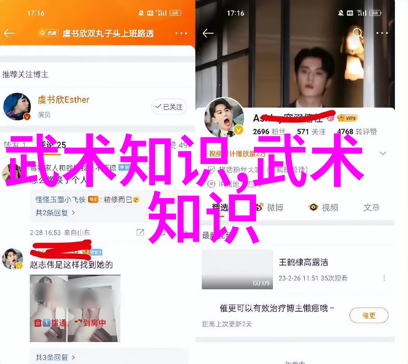 如何选择最适合自己的武术教学视频关键在于内容还是讲师背景