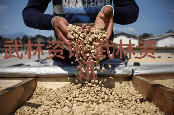 武林绝技全集内外功合一拳法体系