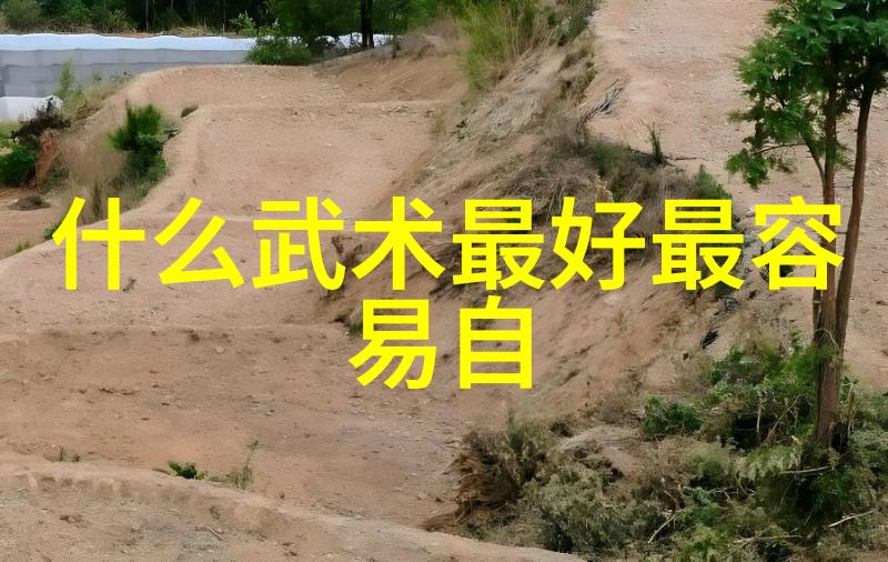 怎样才能练成功夫左脚尖舞出手挥琵琶高潮