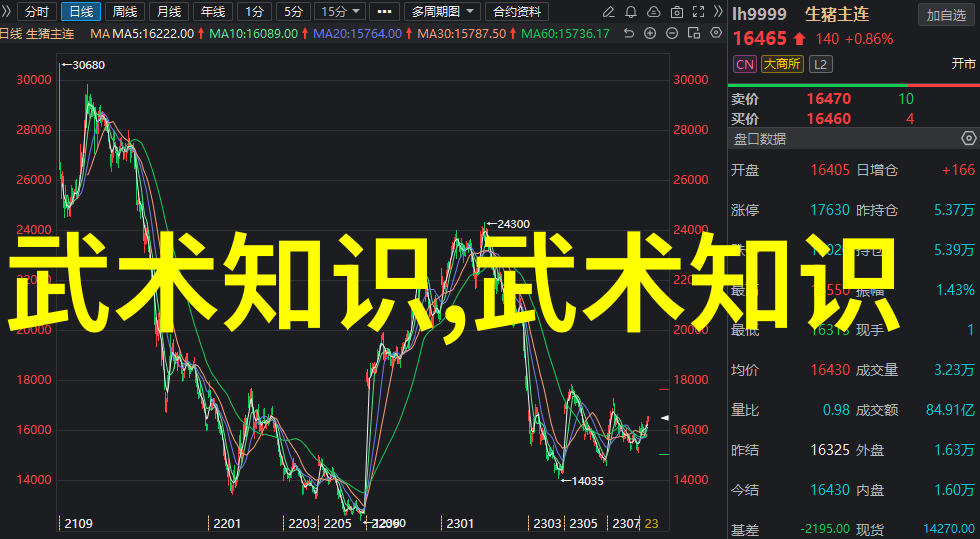 探秘中国武术的活力现存门派的传承与创新