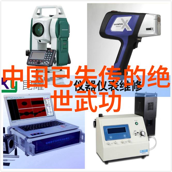 武当山宗派传承史考察探究十五代传人的数量与文化遗产保护