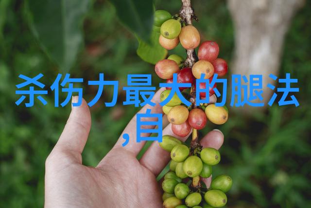 古风帮派守护传统的儒雅先锋