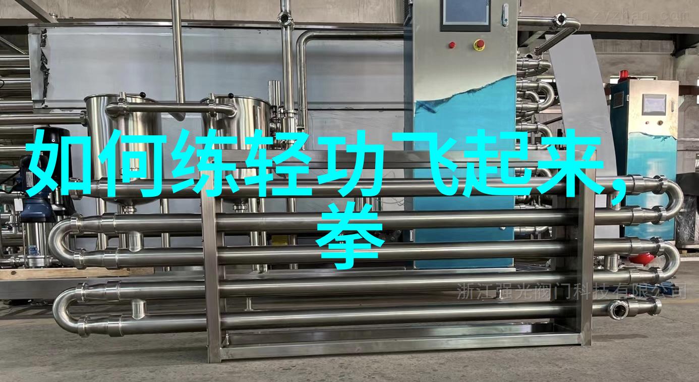 武术资料网我在网上找到了秘籍