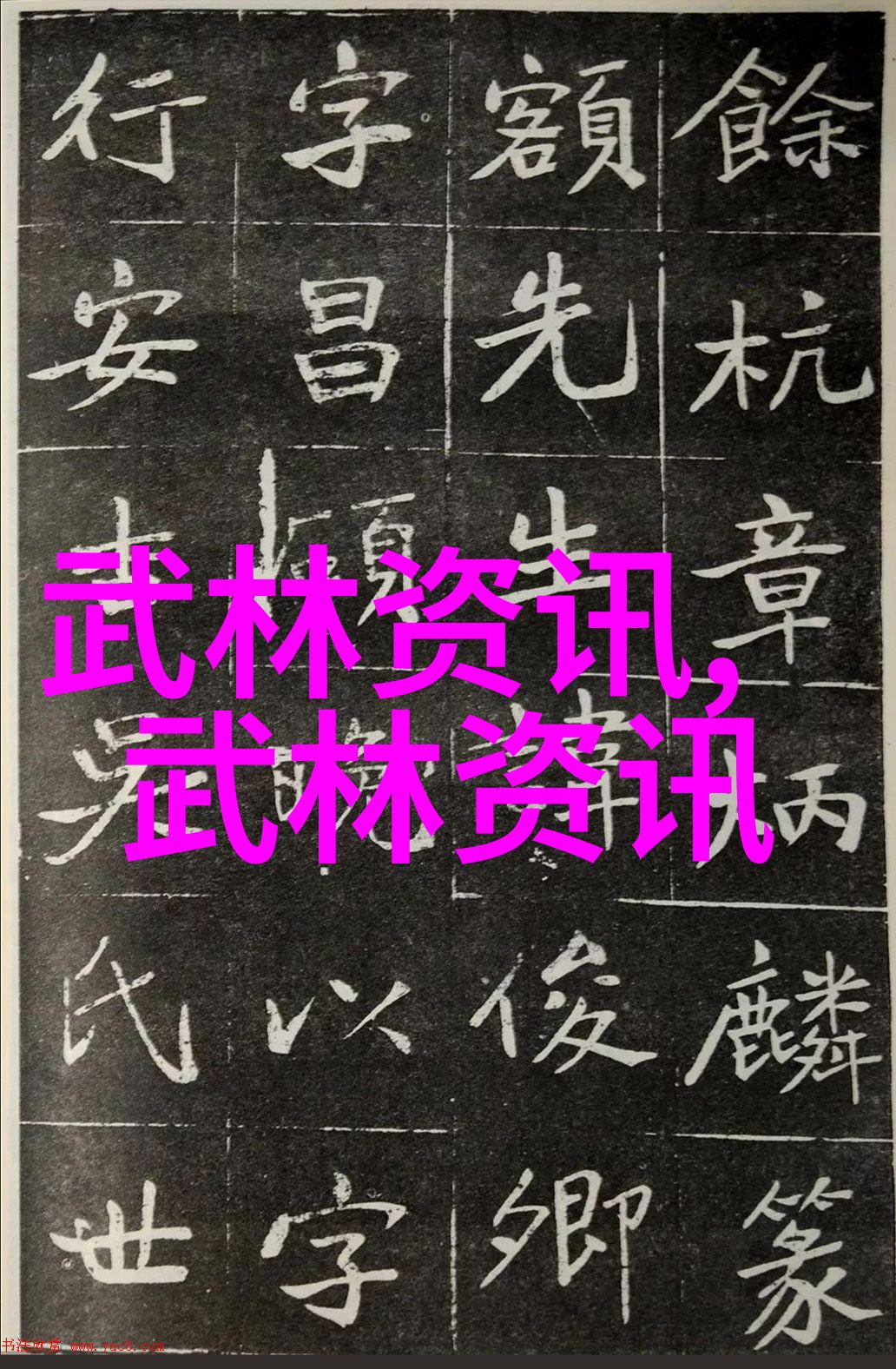 武林八大派的绵拳在社会中逐渐兴起