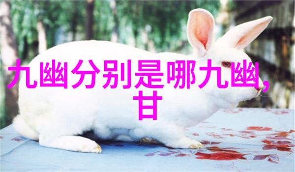 武林中的传统功法选择南腿或華臂孰优孰劣