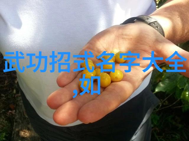 究惑R车禁闭室润滑剂 - 深入探索R级车辆禁闭室的润滑剂选择与维护技巧