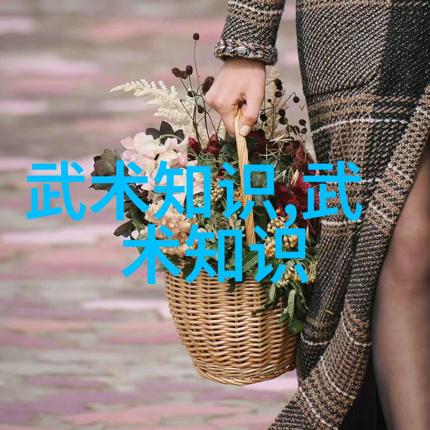 武林秘籍掌握古典武术精髓的全方位教程