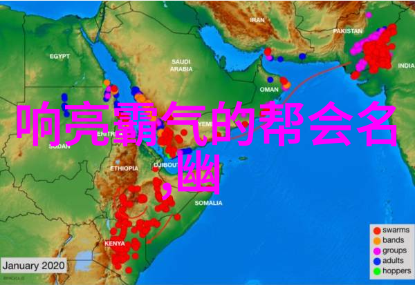 太极拳24式图解指南深入理解内外八卦的艺术与健身