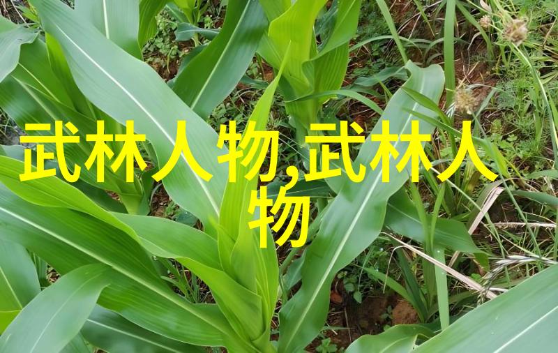 太极功夫秘籍解锁内在力量的艺术是什么