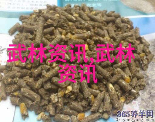 武术教程解锁开肩开胯的秘密轻松提升柔韧度