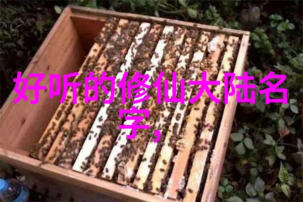 三十分钟让你桶个够 - 30分钟内解决厨房存储难题创意装饰与实用技巧