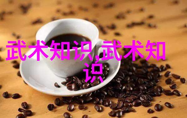 太极24式正面背面 - 练习双重精髓提升武学境界