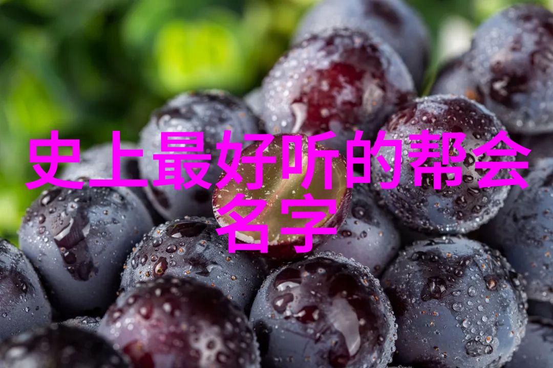 武当山秘传十五代后人之谜