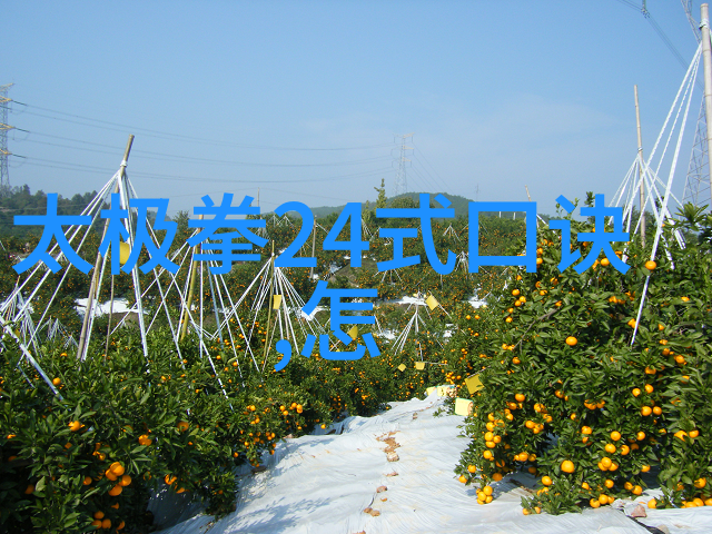 人们为什么会将八三年武术大会称作变革之战