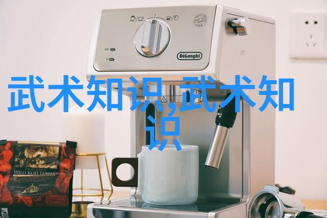 从五禽戏到八极拳中国功夫的多样拳法世界