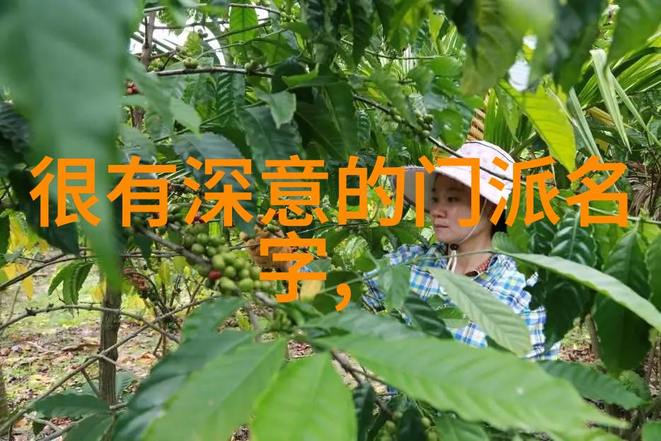 两美国失踪者行李找到