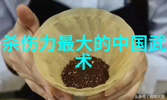武术万维网官网裆然反复