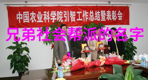 古代武功秘籍排行榜揭秘中华武学宝库中的至尊之书