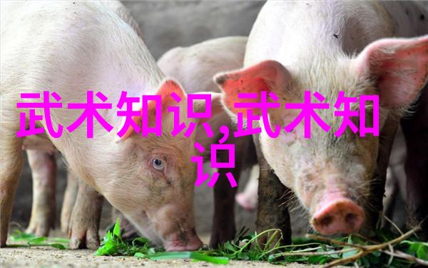 如何通过好听的古风帮派名字来传达团队精神和理念