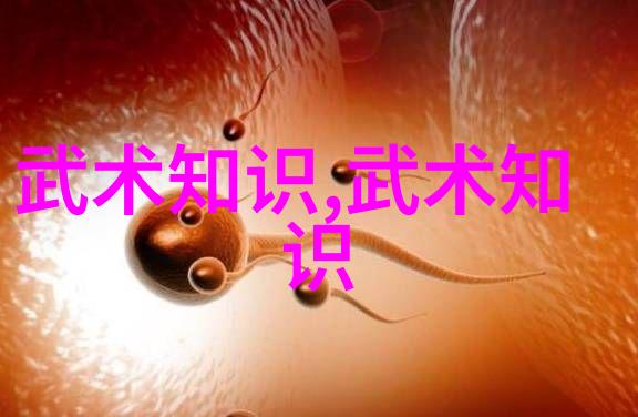 幽默门派尚派形意拳教你如何一拳打败千言万语