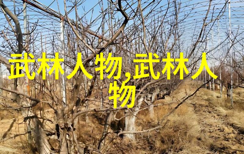 玄幻小说宗门势力名字-天界神盟与地府幽冥九州大陆的两大宗门