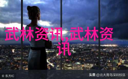 武术基础动作全集武术训练的基本要素
