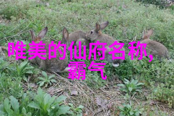 星际游侠穿梭银河的有趣帮派故事