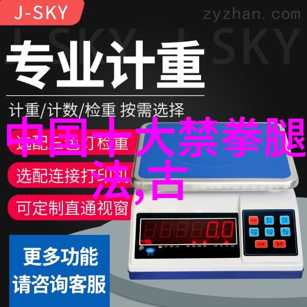 武林秘笈揭秘中国功夫中最神秘的拳法