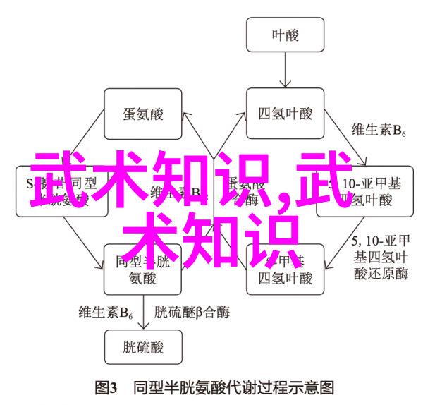 一怪二圣三尸四奇五绝神秘传说中的角色与故事