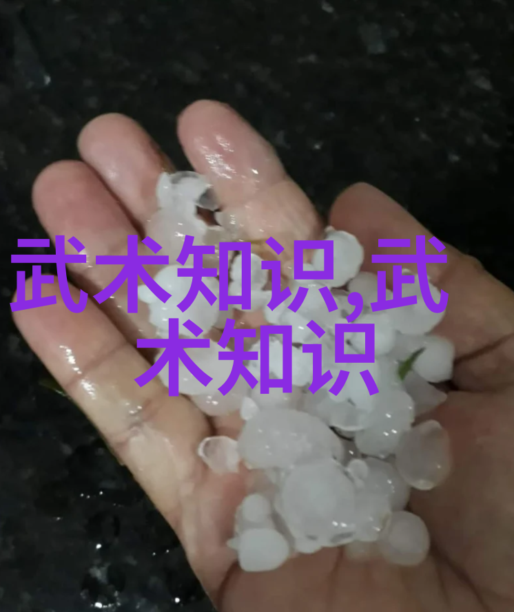 掌門人傳承武林八大門派未來發展的關鍵
