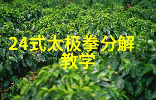 qvod123我是如何在网上找到了最神秘的影视资源库的