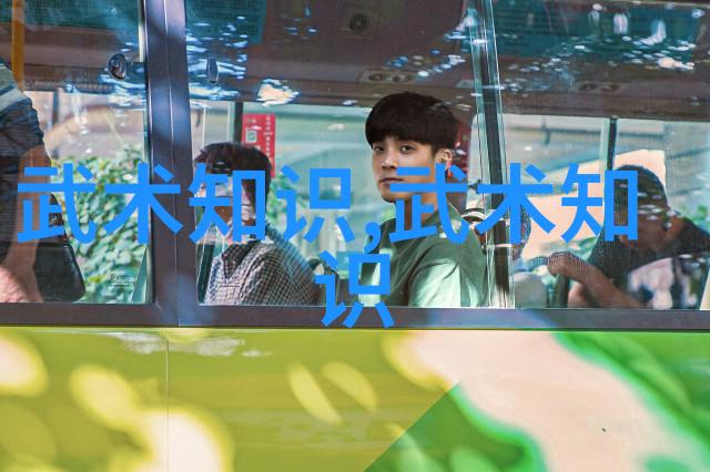 武术刚开始练什么-初学者的武术起步指南基础功法与身手