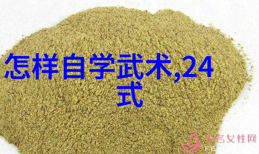 武术资料网中华武术传承与现代应用知识库