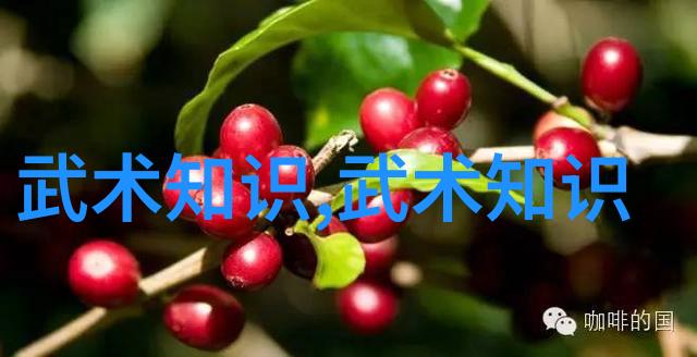 儒雅帮会风华录
