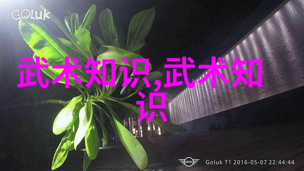 公交车最后一排被群C的视频我是如何在公交车上偶遇网红们的一天