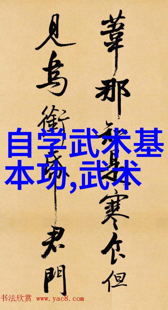 武学自修之道视频教学的智慧与实践