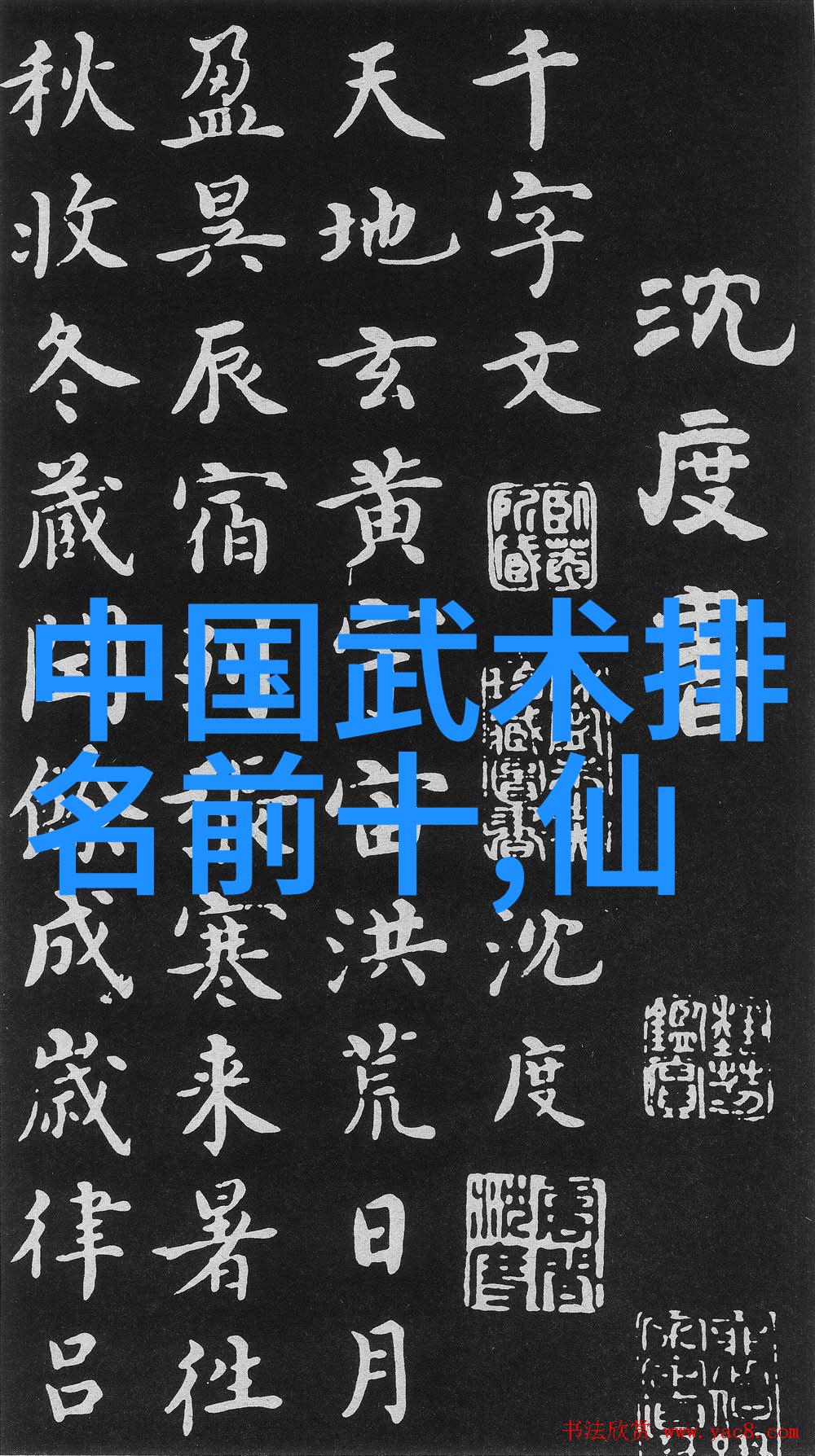南拳和华拳哪个厉害-风云变幻揭秘南拳与华拳的对决