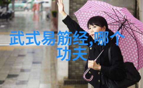 武功与武术的辨析技艺与修为的不同面纱