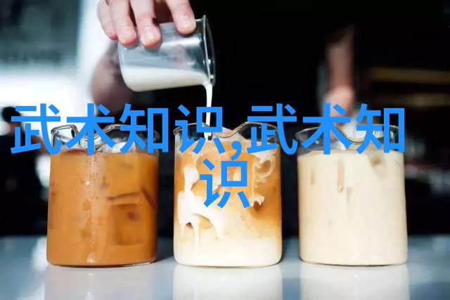 探究中国现代武学界的领军门派剖析内功外功与创新策略