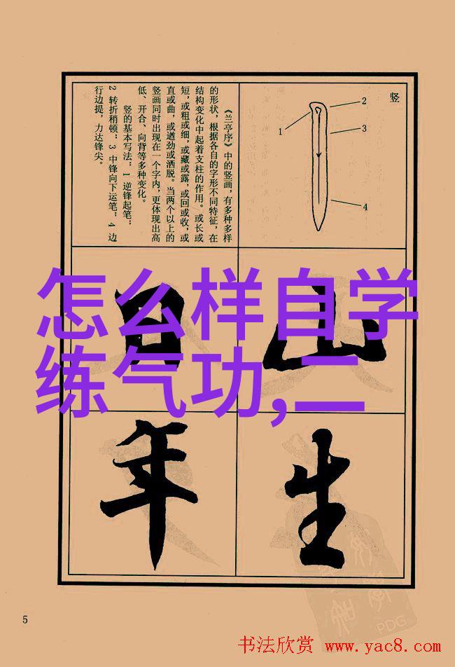 春风拂面秋月沉默咏春拳法的孤寂之舞