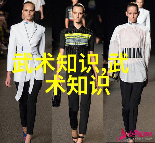 中国武术的拳法之多样性与深厚文化根基
