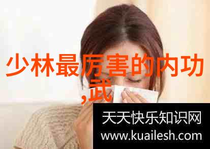 翱翔九霄一往无前探索那些不为人知的修行秘籍