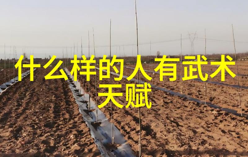 湖南武术门派-醇香袭人探索湘江边的古武秘笈