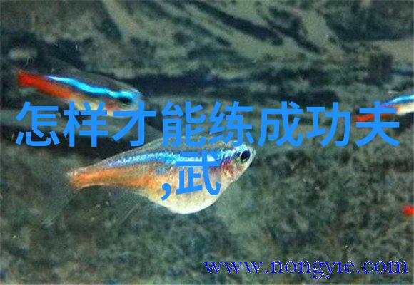 武林秘籍揭秘功夫练习的艺术与科学
