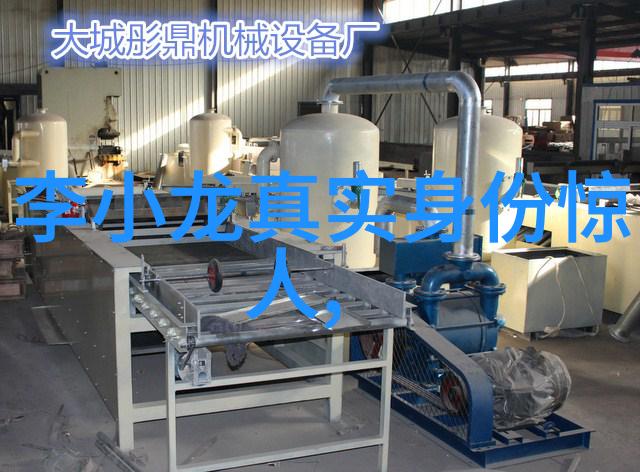 内功外式并进揭秘武林传承的功夫秘籍教学