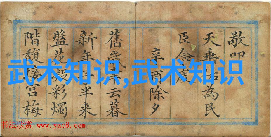 武术十二法则探索内功与形意之道