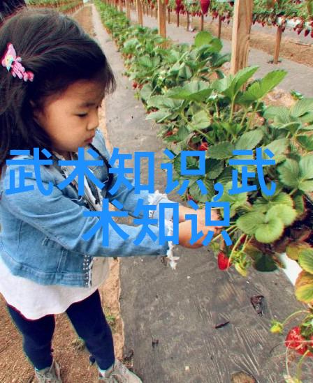 我应该如何评价自己的进步并调整学习策略呢